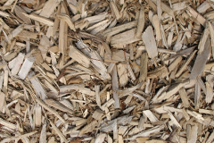 biomass boilers Rhoscefnhir